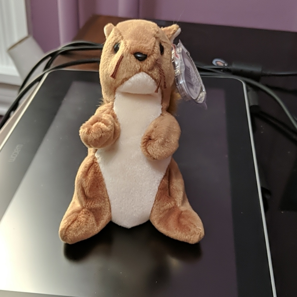 Ty Beanie Baby Nuts
